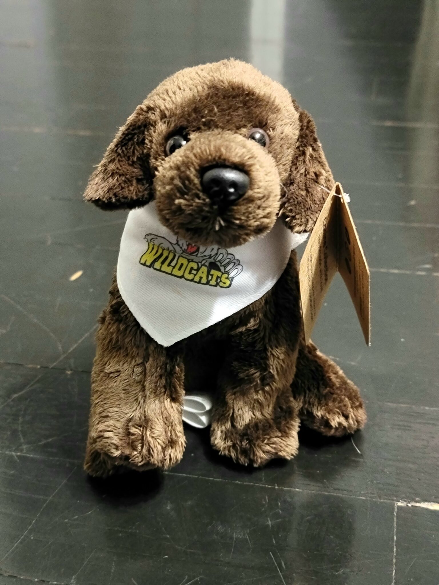 champ-stuffed-animal-guest-elementary-pta